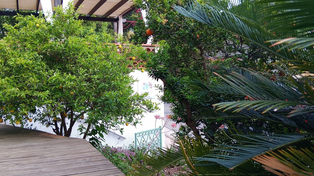 Photo of Outdoor in Sorede