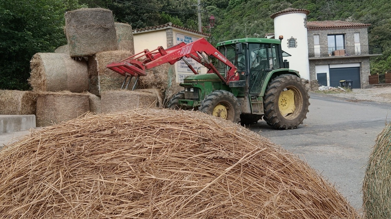 Photo of Others in Sorede