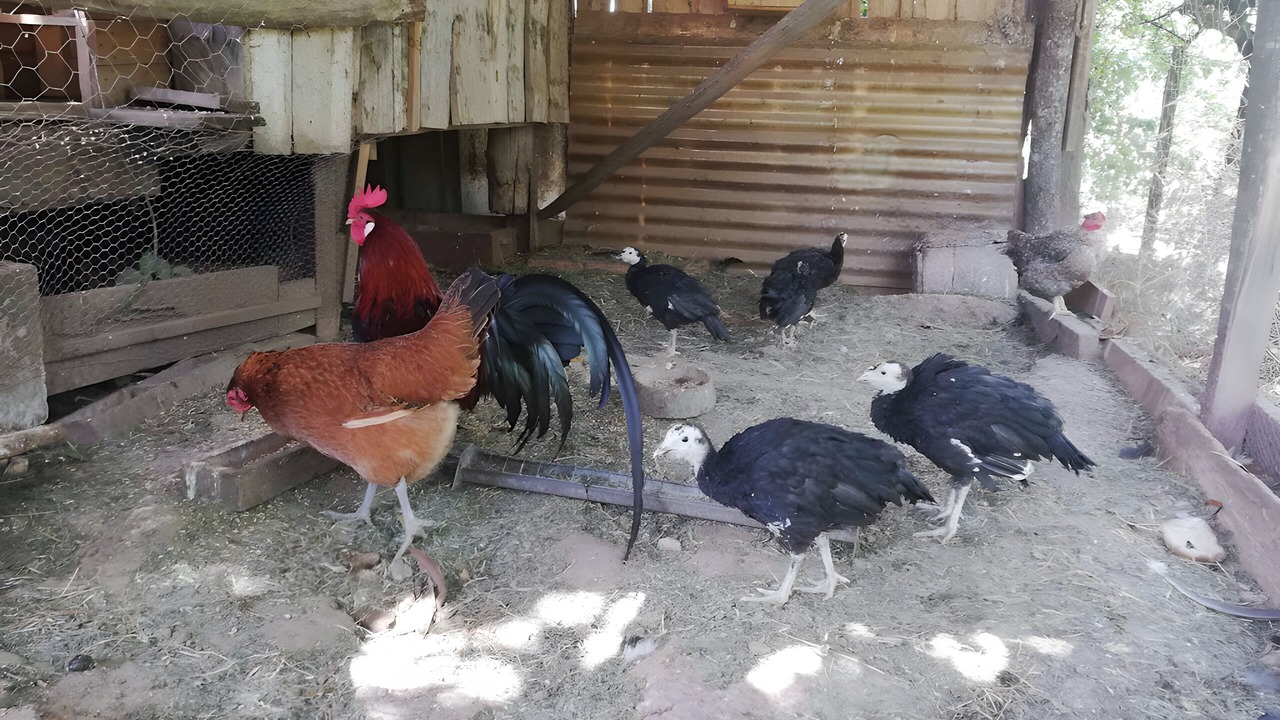 Photo of Others in Nauviale