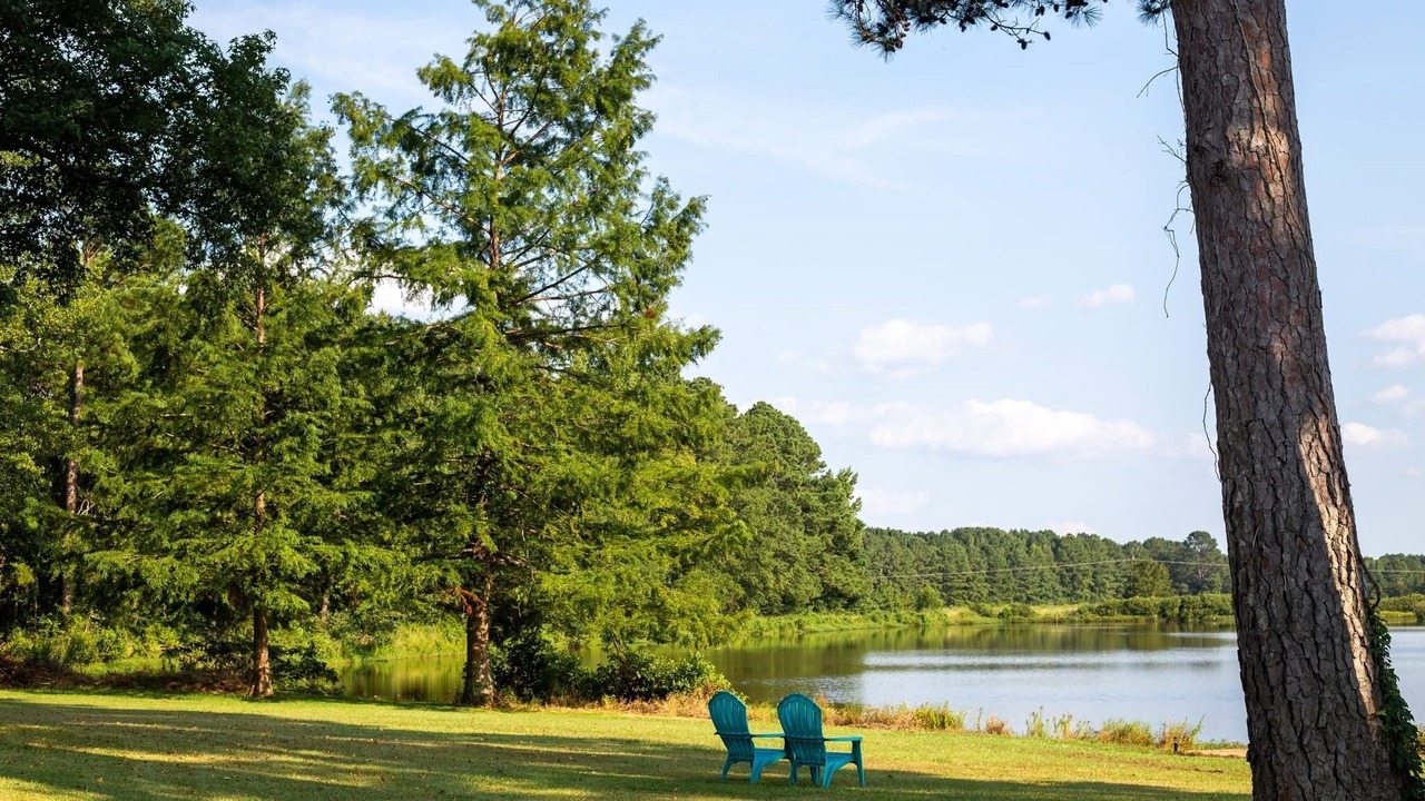 Photo of Outdoor in Bivins