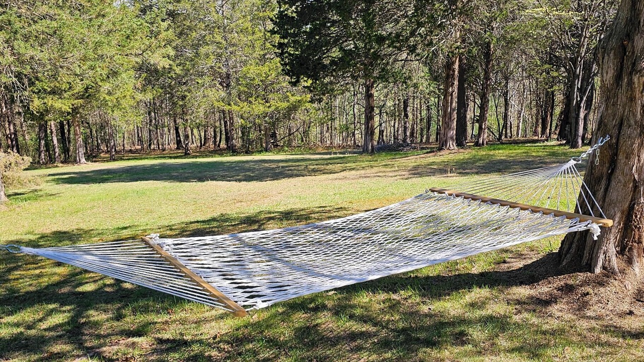 Photo of Outdoor in Mount Jackson