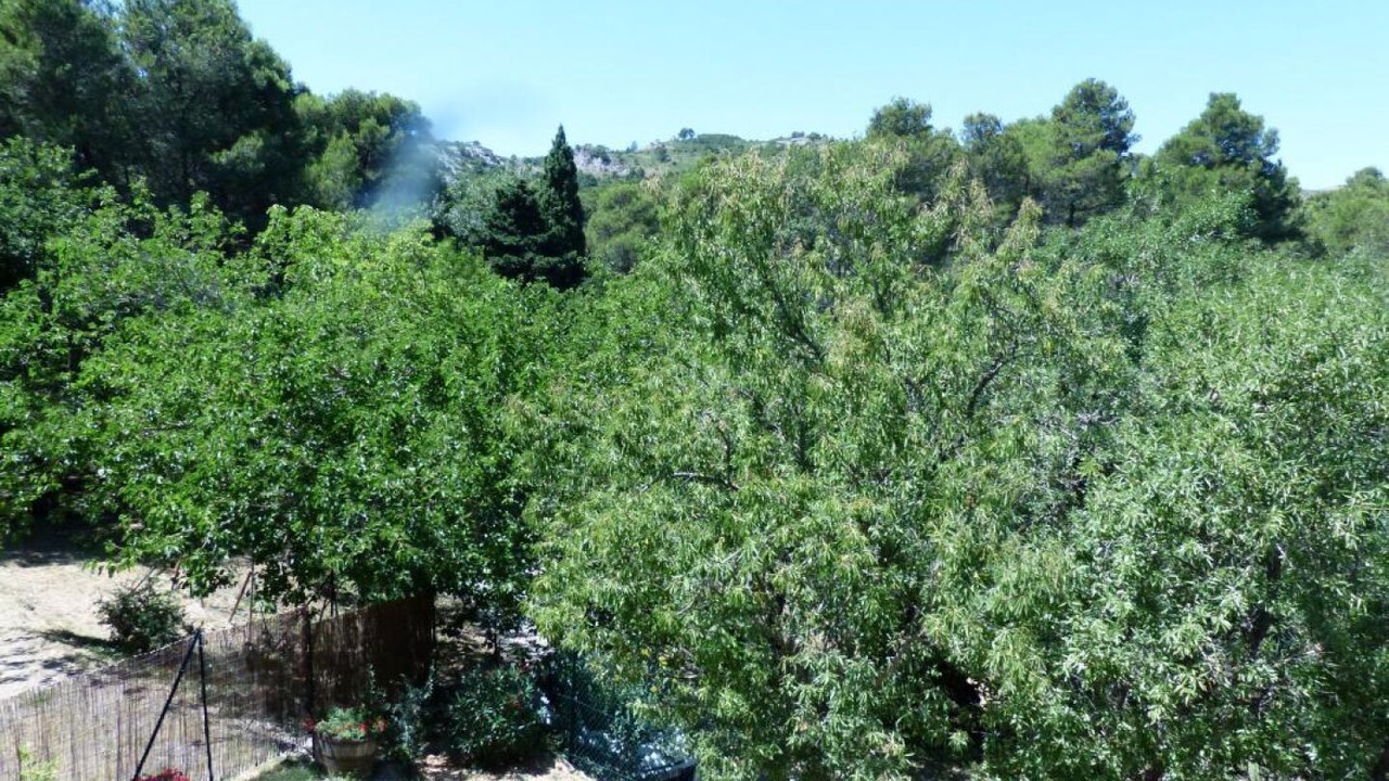 Photo of Outdoor in Peyriac-de-Mer