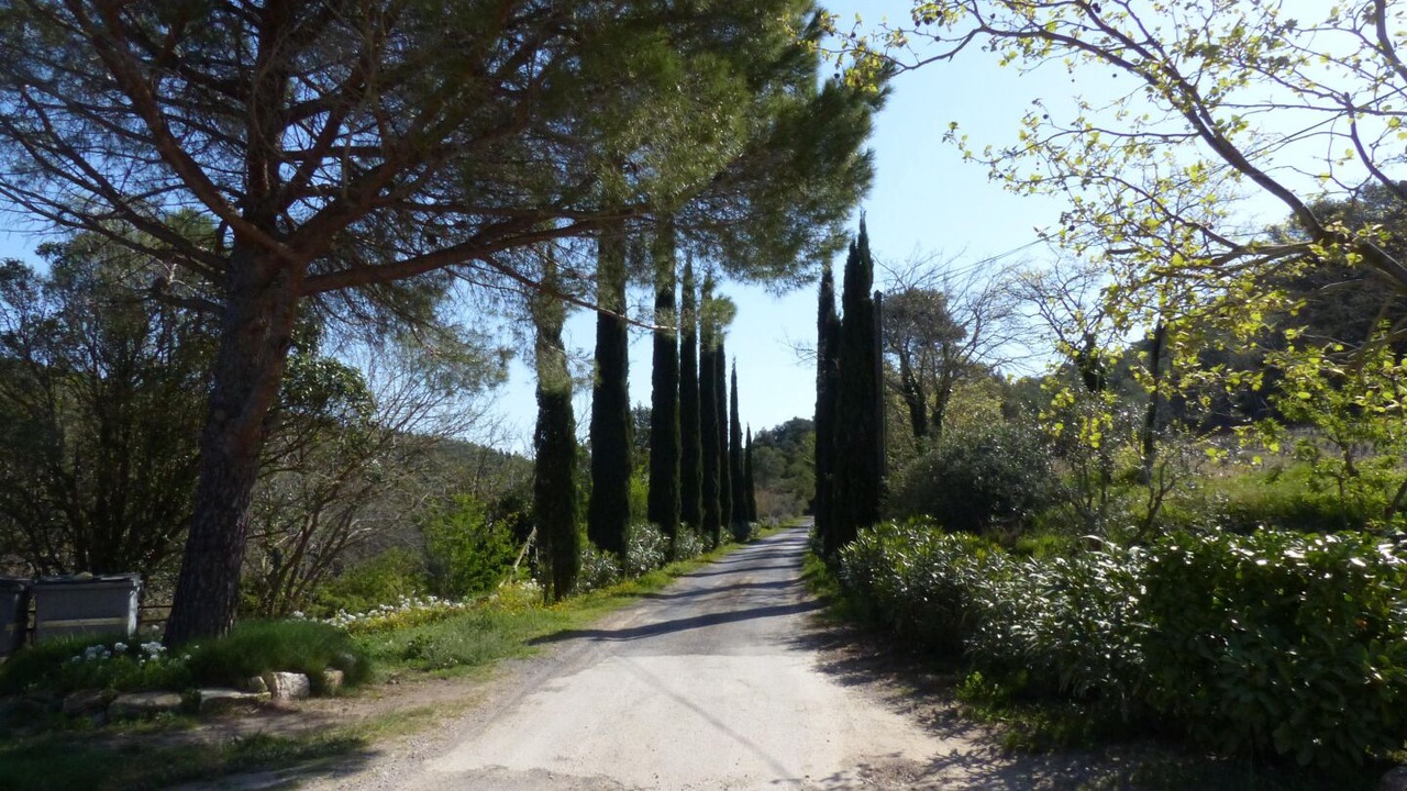 Photo of Others in Peyriac-de-Mer