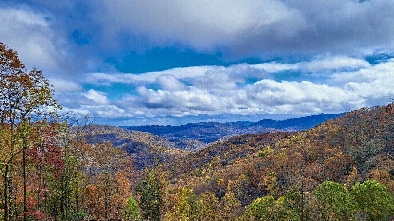 Photo of Others in Laurel Ridge