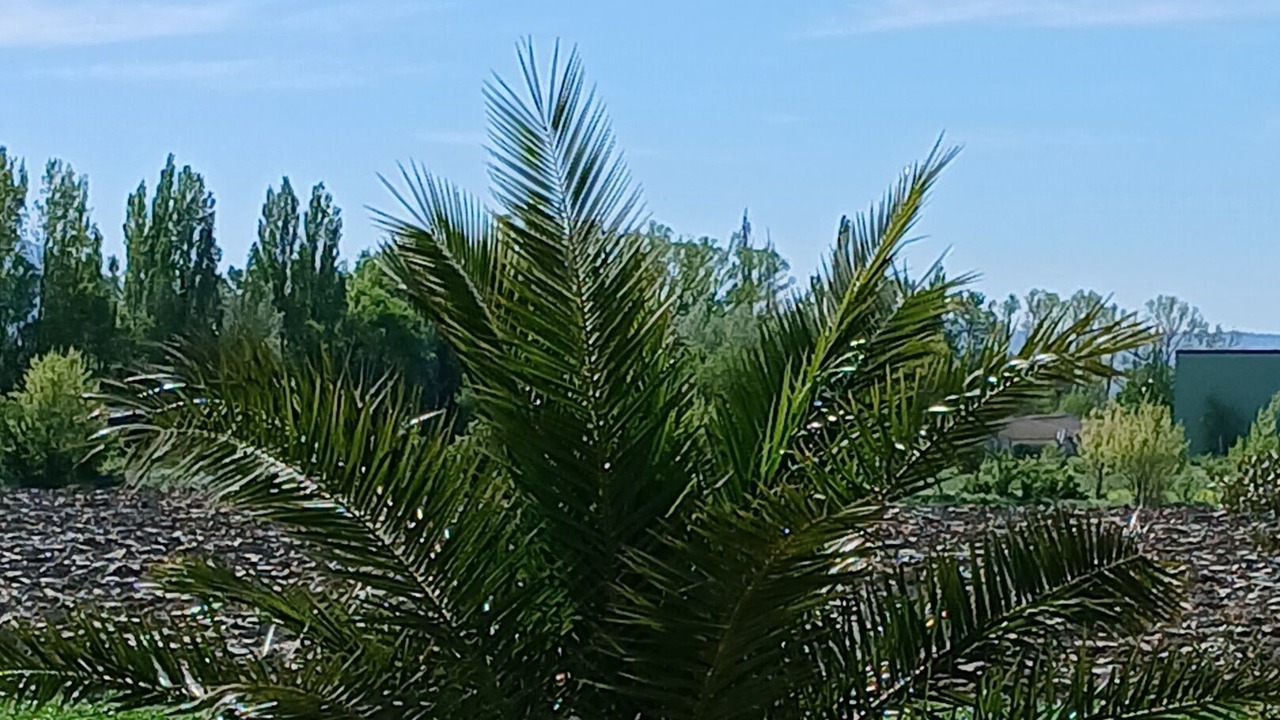Photo of Outdoor in Marsanne