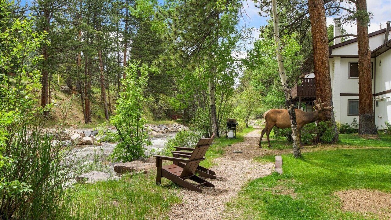 Photo of Outdoor in Estes Park