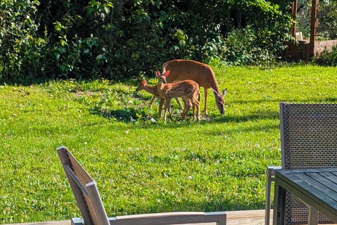 Photo of Outdoor in Manitoulin District