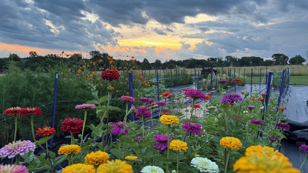 Photo of Outdoor in Paola