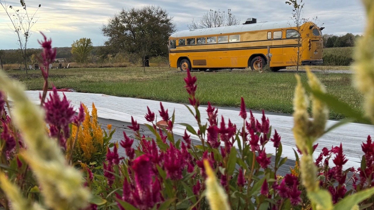 Photo of Outdoor in Paola