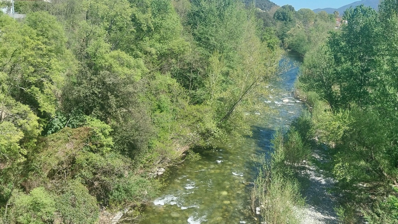 Photo of Others in Reynes