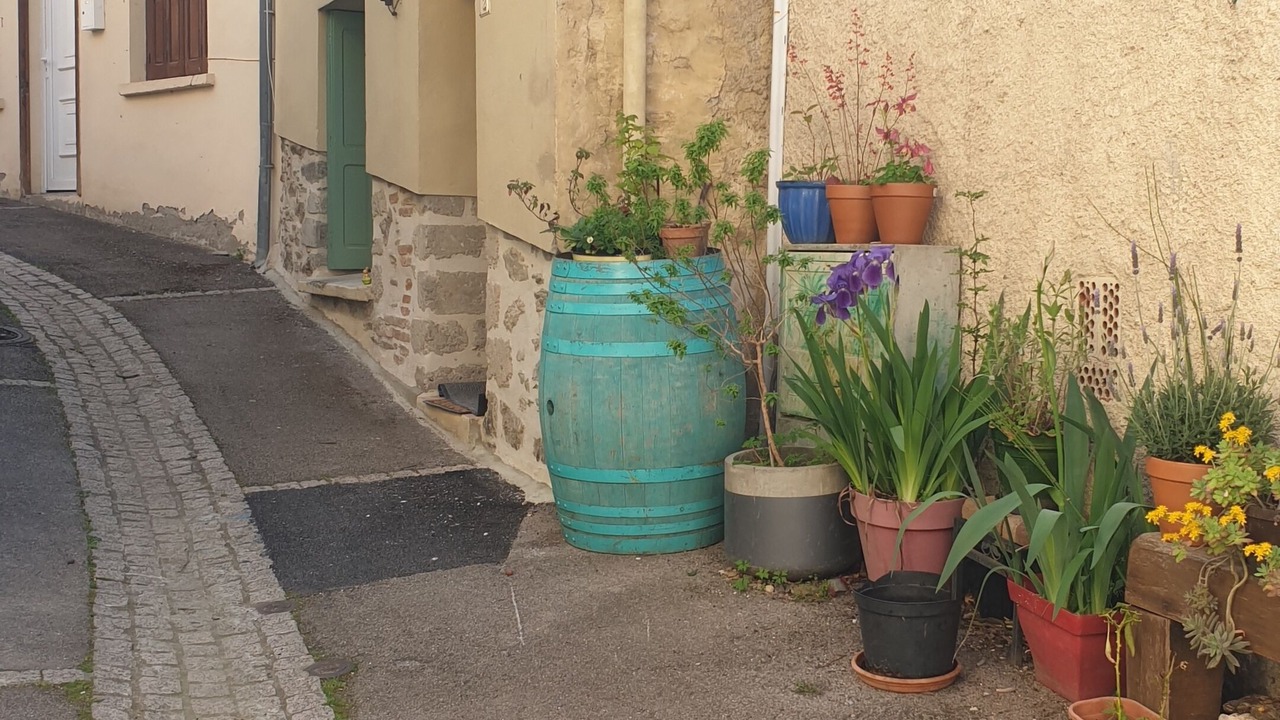 Photo of Outdoor in Clara