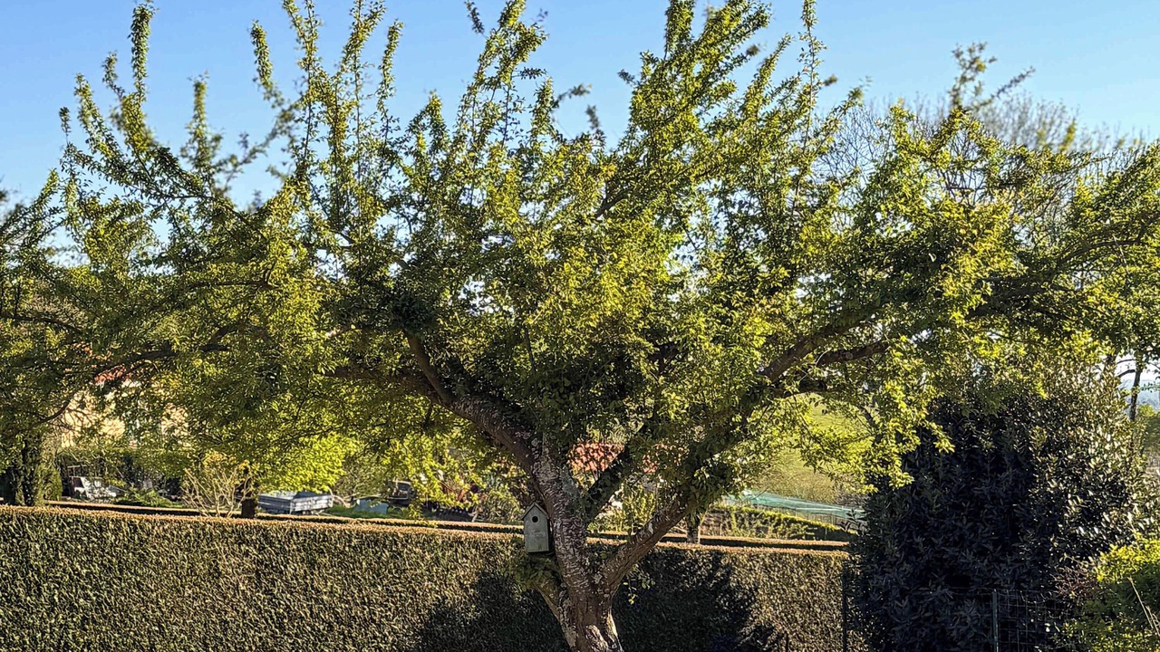 Photo of Outdoor in Saint-Michel-Mont-Mercure