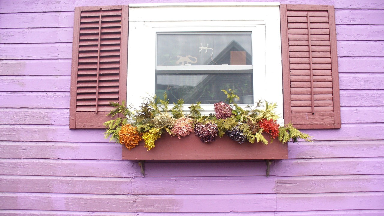 Photo of Outdoor in Clayton