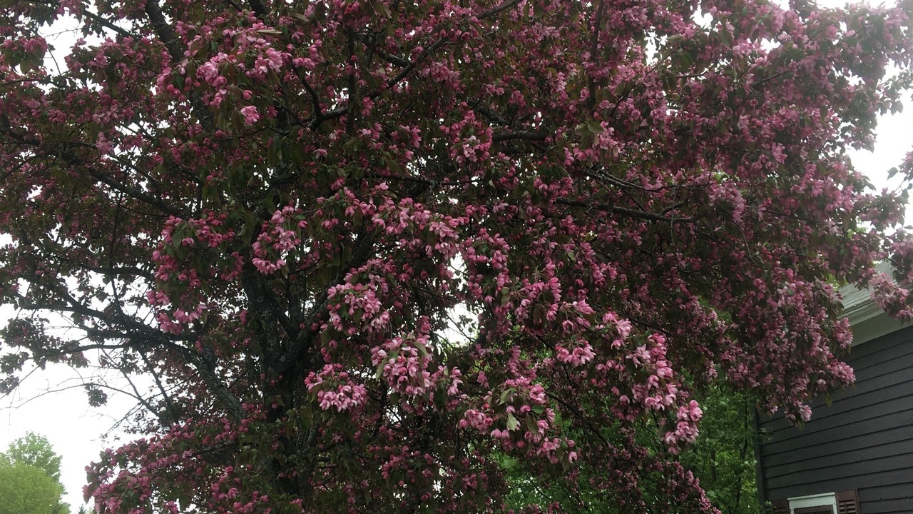 Photo of Outdoor in Clayton