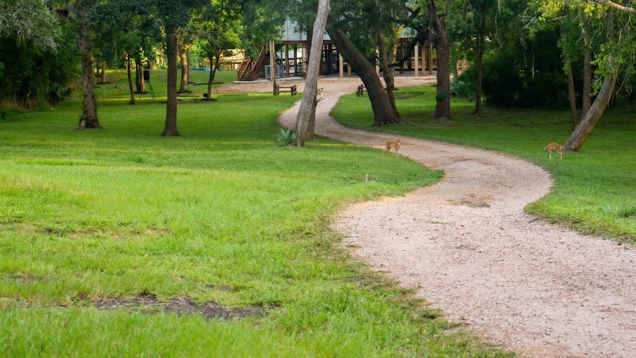 Photo of Outdoor in Cedar Lane