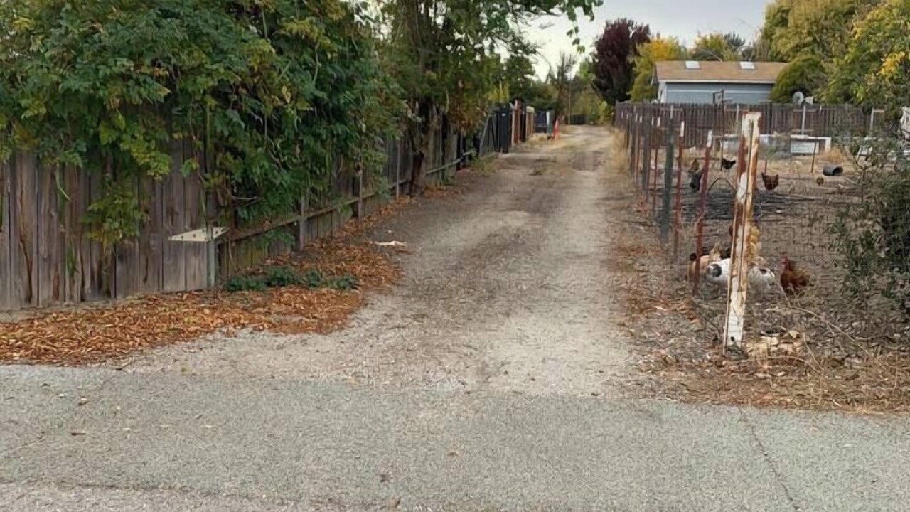Photo of Others in Templeton