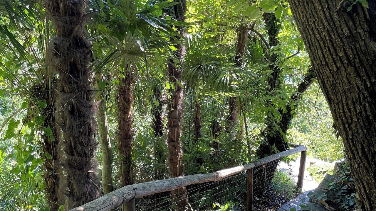 Photo of Outdoor in Ascona