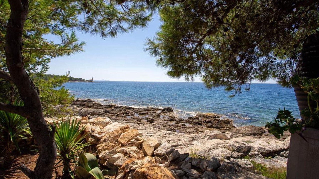 Photo of Others in Cove Osibova (Milna)