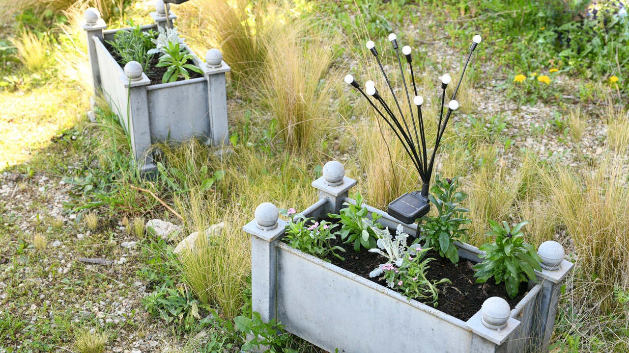 Photo of Outdoor in Saint-Genix-sur-Guiers