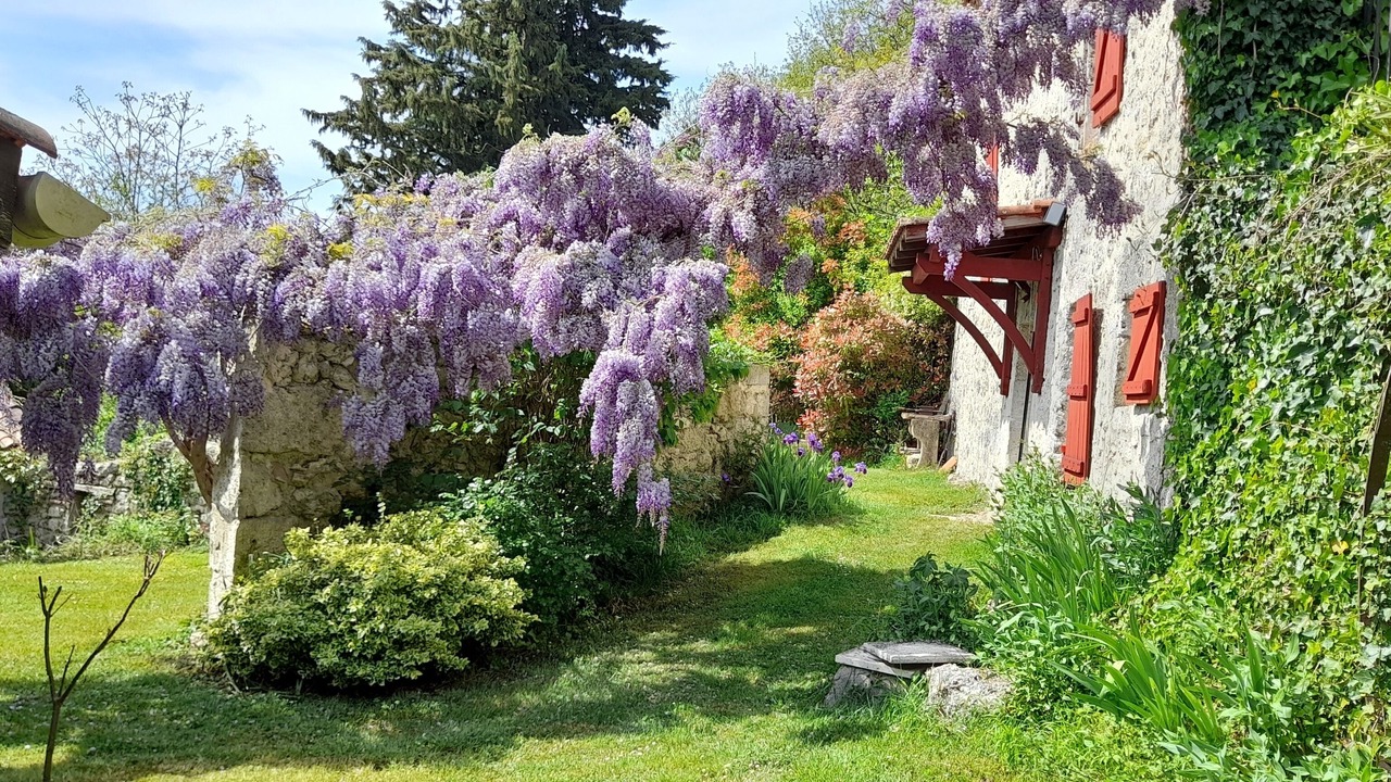 Photo of Outdoor in Dolmayrac
