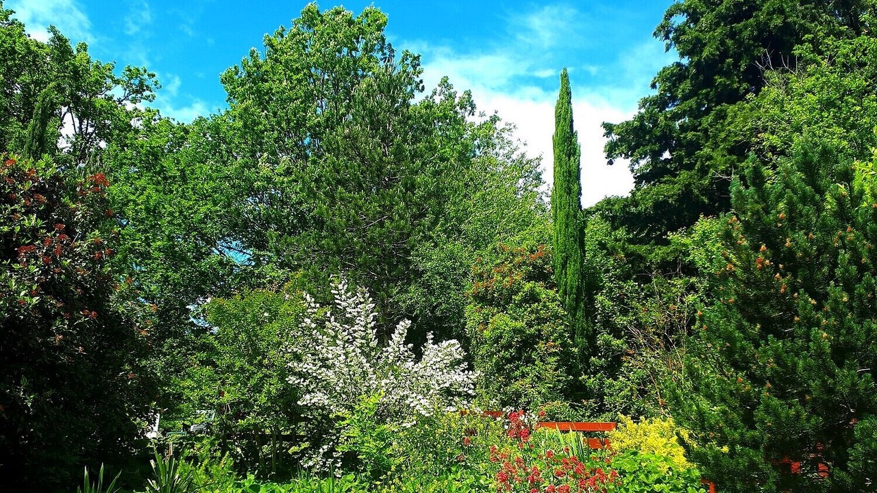 Photo of Outdoor in Dolmayrac