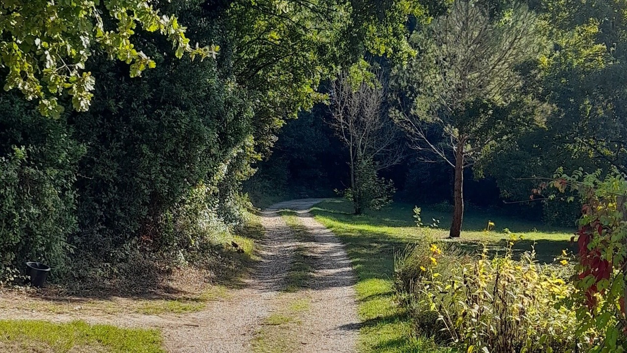 Photo of Others in Dolmayrac