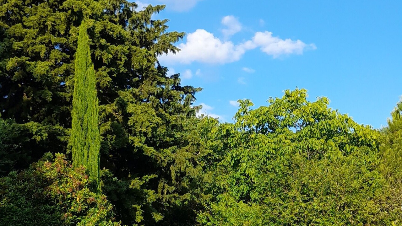 Photo of Outdoor in Dolmayrac