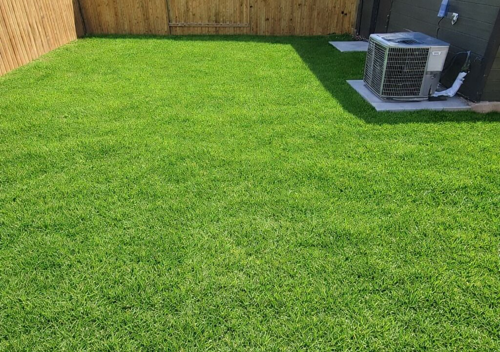 Photo of Outdoor in Northeast Houston