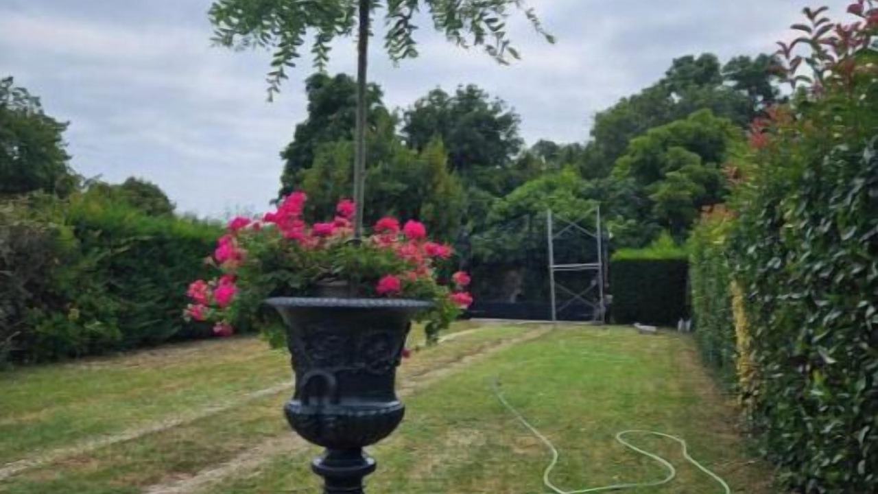 Photo of Outdoor in Comps
