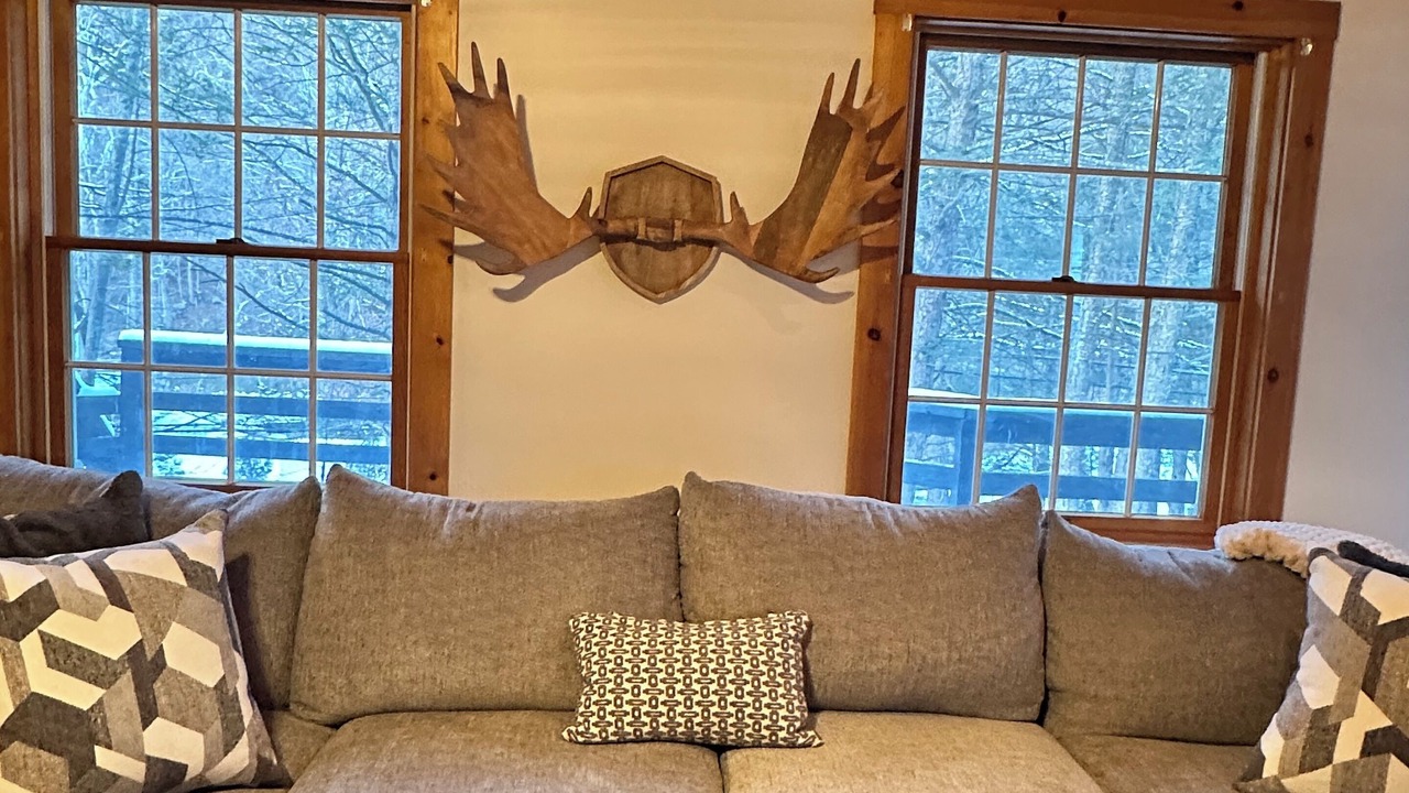 Photo of Livingroom in Bodines