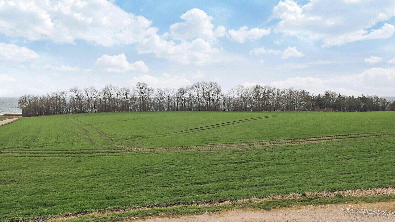 Photo of Others in Assens