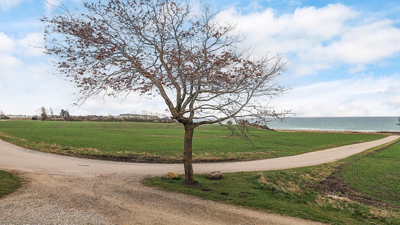 Photo of Others in Assens