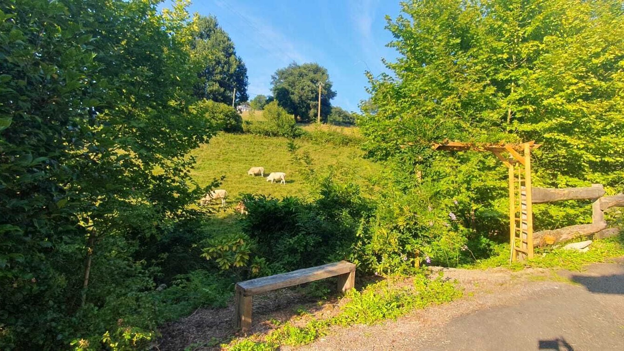 Photo of Outdoor in Uhart-Cize
