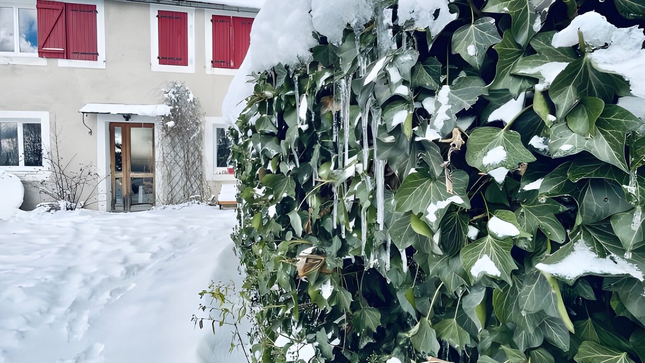 Photo of Outdoor in Dourbies