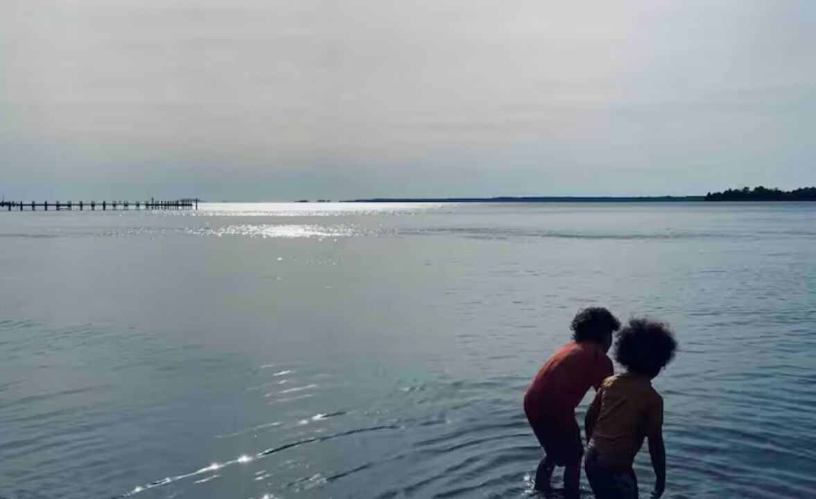Photo of Others in Mount Vernon