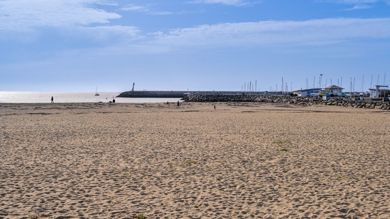 Photo of Others in La Turballe