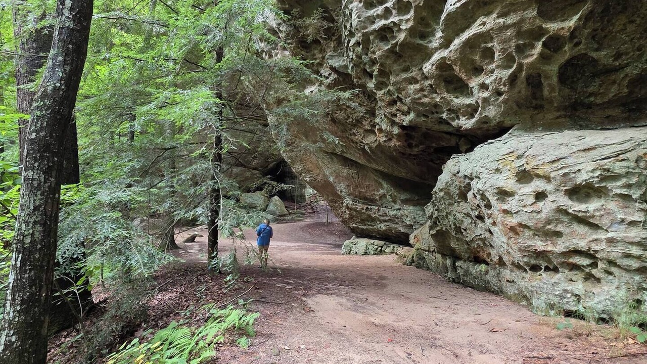 Photo of Others in Jamestown