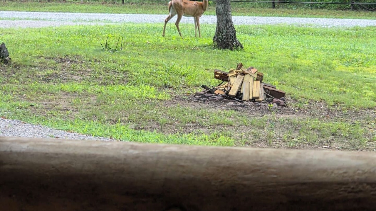 Photo of Others in Jamestown