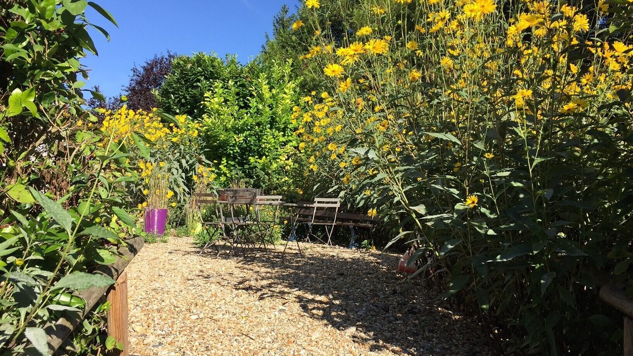 Photo of Outdoor in Vert