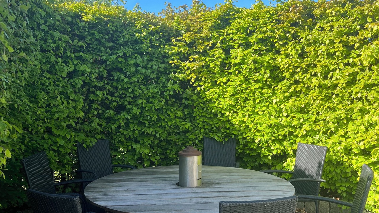 Photo of Outdoor in Silkeborg Municipality