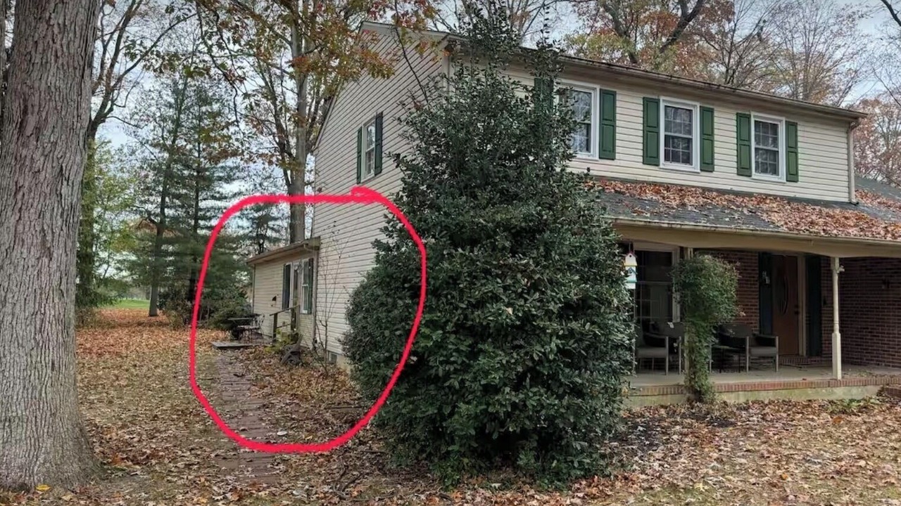 Photo of Outdoor in Dover