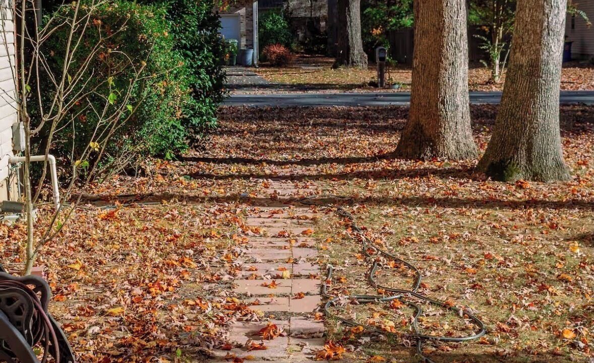 Photo of Outdoor in Dover