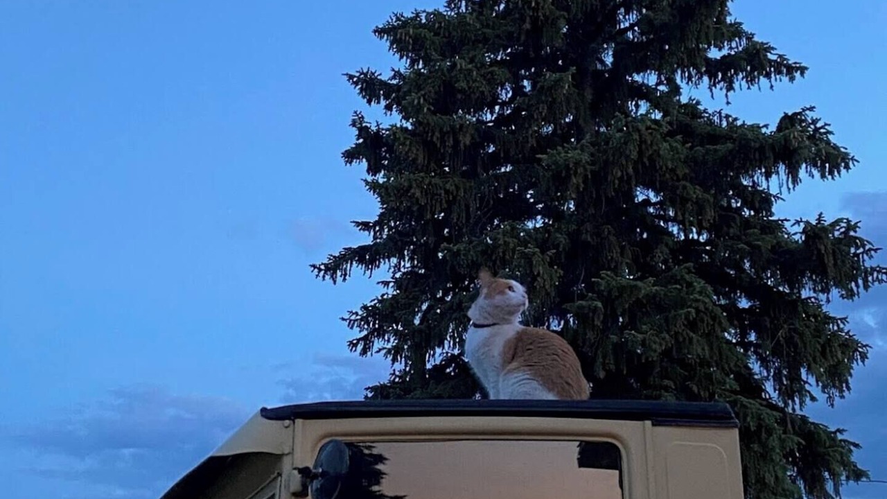 Photo of Others in Lake George