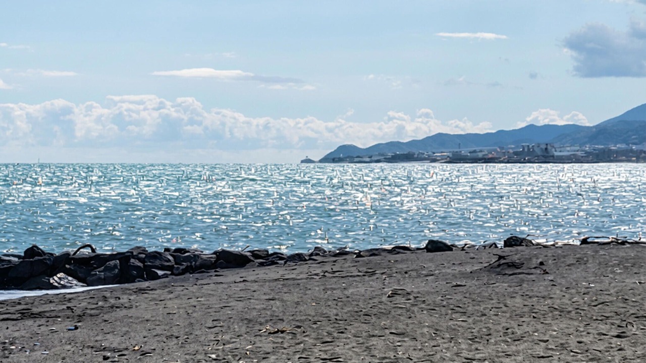Photo of Others in Palomares