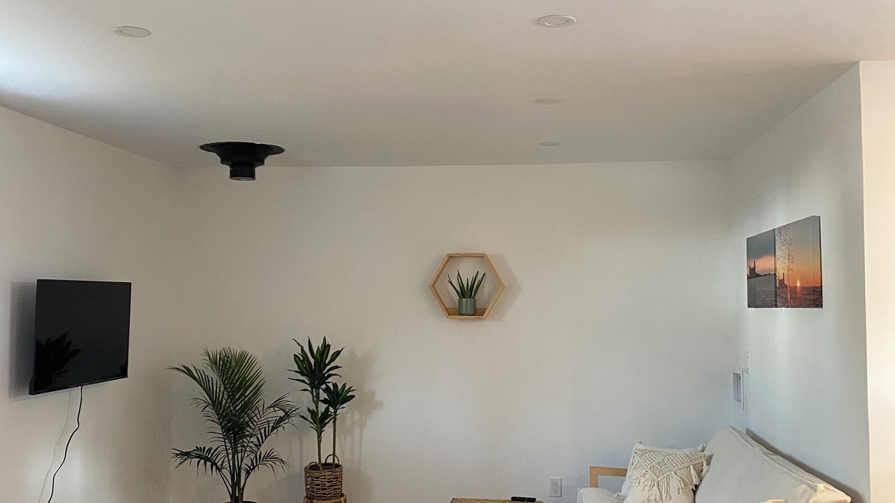 Photo of Livingroom in Collingwood