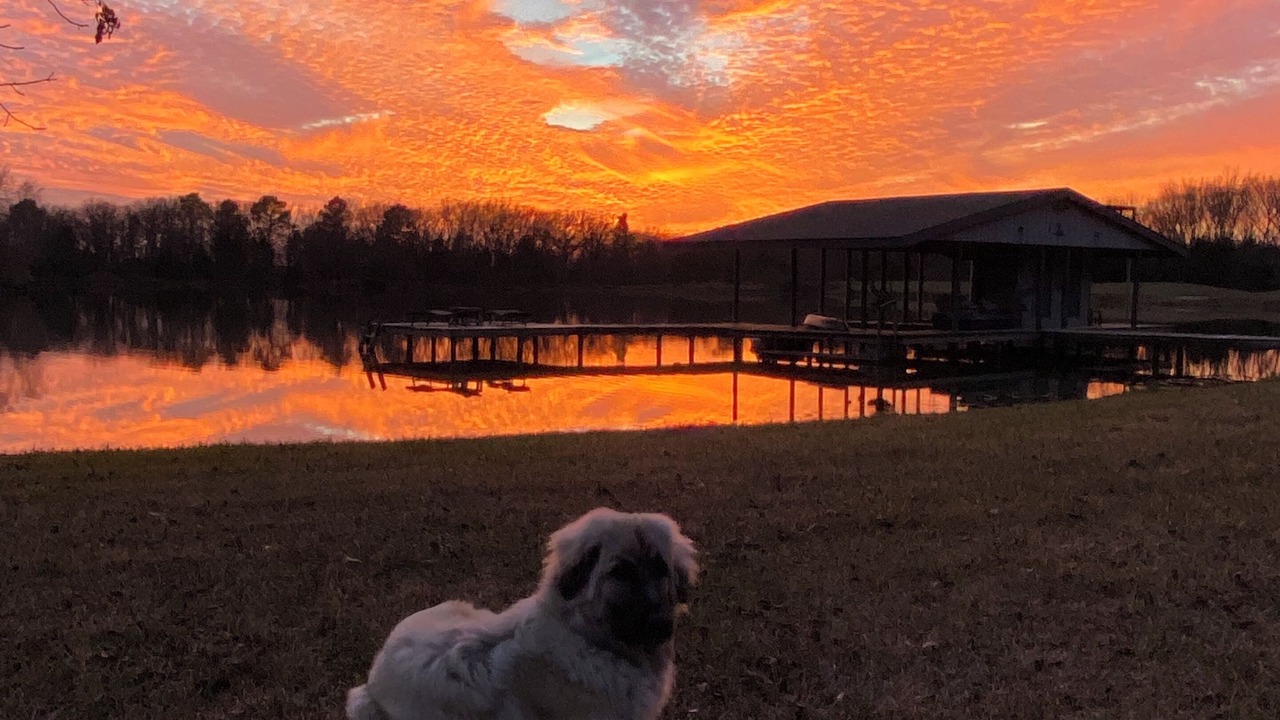 Photo of Outdoor in Van Zandt County
