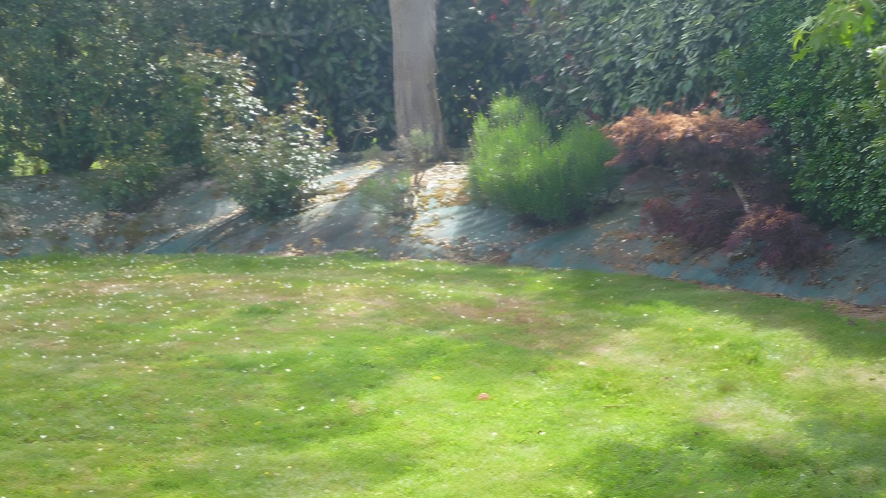 Photo of Outdoor in Betton