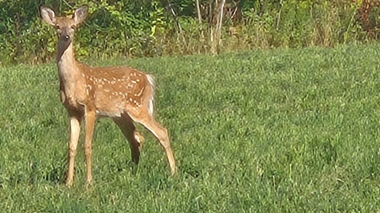 Photo of Others in Somerset