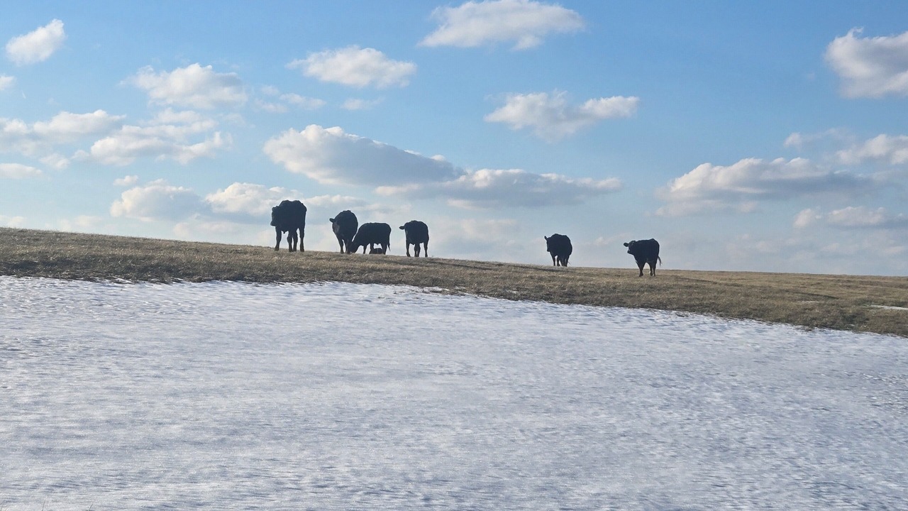 Photo of Others in Somerset