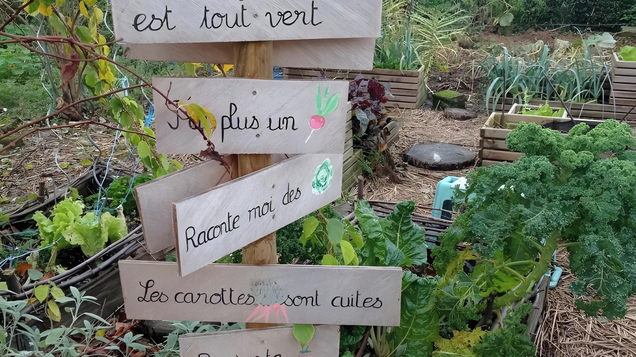 Photo of Outdoor in Sainte-Marguerite-sur-Duclair